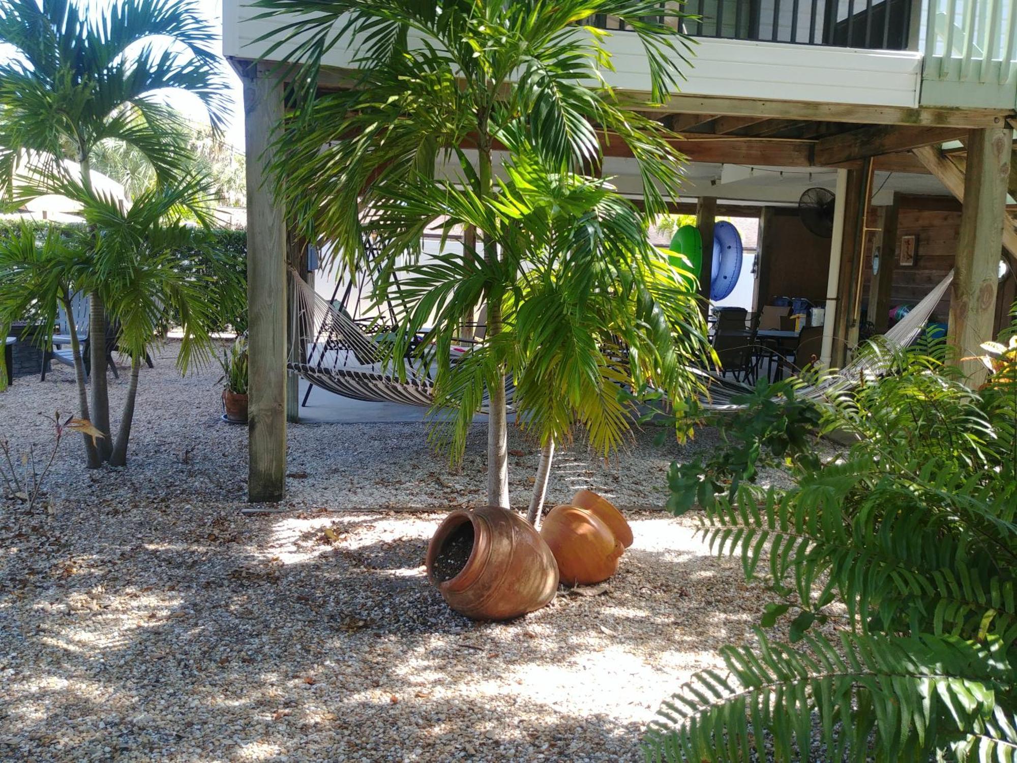 El Palmar Cottage Llc Clearwater Beach Exteriér fotografie